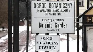 Ogród pod śniegiem