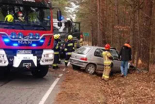 Kierowca peugeota uderzył w drzewo