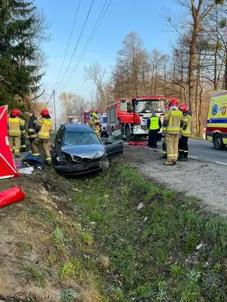 Zdarzenie pod Górą Kalwarią