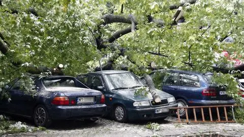 Drzewo runęło na 8 samochodów. Straż usunęła konary