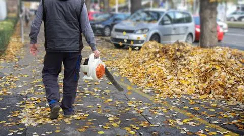 Dmuchawy znikną z miejskich terenów