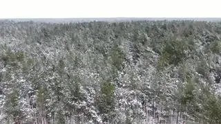 Mazowiecki Park Krajobrazowy zimą