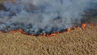 Pożar traw w Starych Lipinach