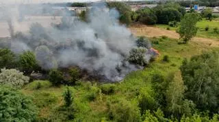 Pożar traw na Annopolu