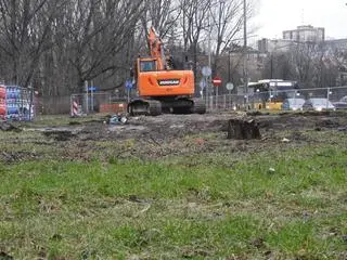 Na rogu Spacerowej i Belwederskiej wycięto drzewa