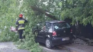 Drzewo spadło na samochód przy Szczęśliwickiej