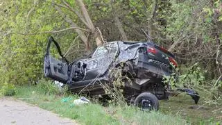 Samochód zatrzymał się na drzewie