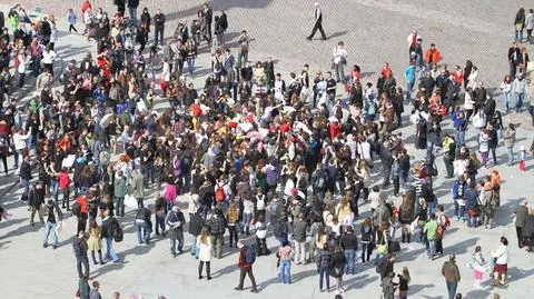 Bitwa na poduszki na placu Zamkowym