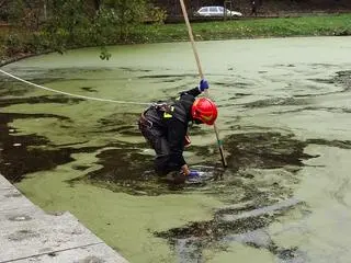 Akcja służb w parku Rydza-Śmigłego