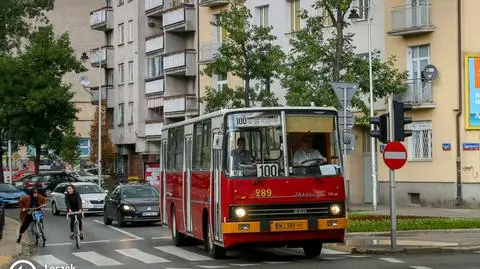 Zabytkowe autobusy i tramwaje na ulicach. Pliszka, Wilga i Słonka na Wiśle