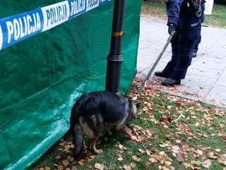 Na miejscu wypadku pracuje policja