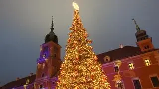 Choinka na placu Zamkowym