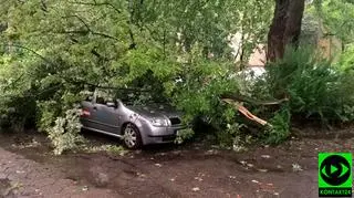 Skutki burzy na Mokotowie