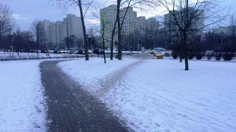 Wydeptane ścieżki chcą zamienić w chodniki