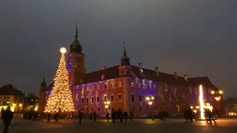 Choinka na placu Zamkowym