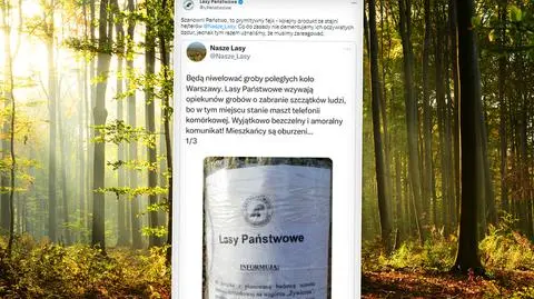 Ogłoszenie z prośbą o "przemieszczenie szczątków poległych". Lasy Państwowe: to prowokacja