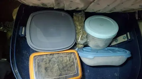 Zatrzymany odpowie za posiadanie znacznej ilości środków odurzających