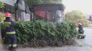 Autobus uderzył w drzewo