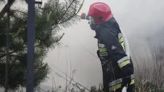 Pożar namiotu z sianem