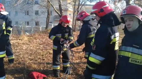 fot. Lech Marcinczak/tvnwarszawa.pl