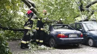 Drzewo spadło na samochody