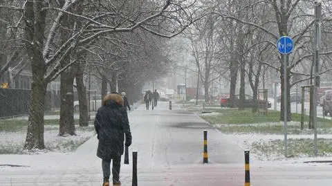 "Zaczęliśmy zbieranie fusów kawowych z urzędowych ekspresów". Posypią nimi chodniki