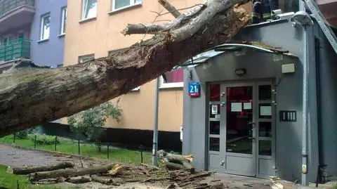 fot. Tomasz Zieliński/tvnwarszawa.pl