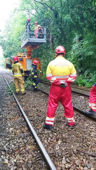 Drzewo spadło na trakcję tramwajową na Bielanach 