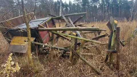 Zdemolowane ambony myśliwskie pod Wieliszewem. Koło łowieckie wyznaczyło nagrodę za wskazanie sprawcy 