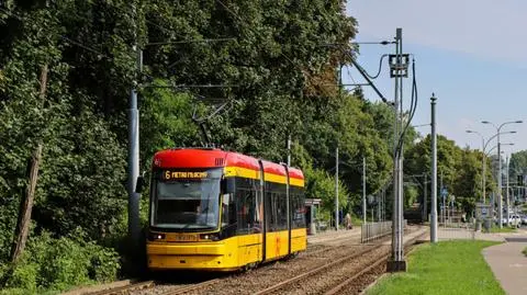 W sobotę pielęgnacja drzew przy torowiskach. Tramwaje pojadą objazdami 