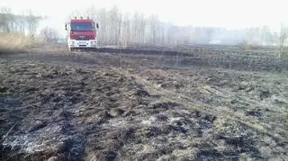 Pożar traw na Targówku