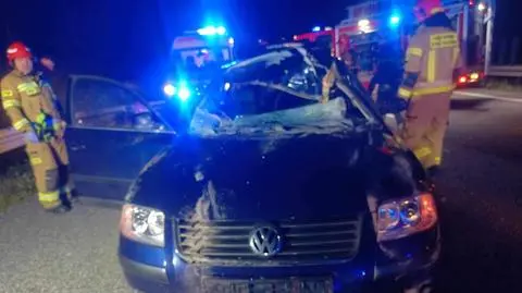 Łoś przebiegał drogą ekspresową. Dwie osoby ranne po zderzeniu