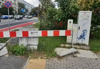 Obrosły mchem, są nie do ruszenia. "Malownicze perypetie" drogowców ze skrzynkami