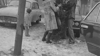 Mężczyzna i kobieta obwiązują choinkę sznurkiem, 1976 rok