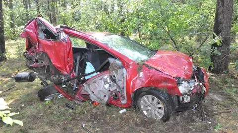 Uderzyli w drzewa. Kierował 17-latek, jechali z nim 16-latka i 18-latek. Wszyscy "pod widocznym wpływem alkoholu"