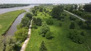 Na dzikich terenach Golędzinowa miasto planuje utworzyć park naturalny