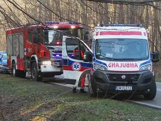 Auto wjechało do rowu na wojewódzkiej "720"