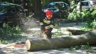 Drzewo spadło na ulicę