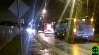 Drzewo spadło na jezdnię