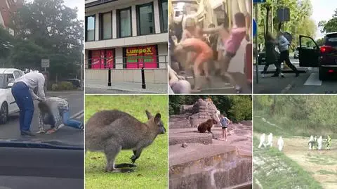 Kangur i niedźwiedź, bójki i syreny. Tym żyła Warszawa w 2015 roku