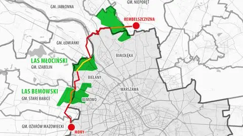 Budują gazociąg, wycinają drzewa w warszawskich lasach