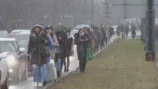 Poranny problem z kursowaniem tramwajów