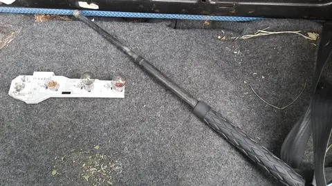 Strażnicy przyłapali ich na demontażu auta. 17-latek zatrzymany 