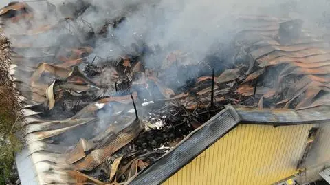 Pożar w Sulejówku ugaszony. "Trwający od przeszło dwóch dób koszmar dobiegł końca"