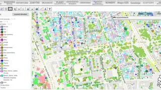 Mapa koron drzew - podział na gatunki