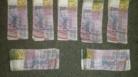 Ukradł 70 tysięcy franków i zakopał na działce