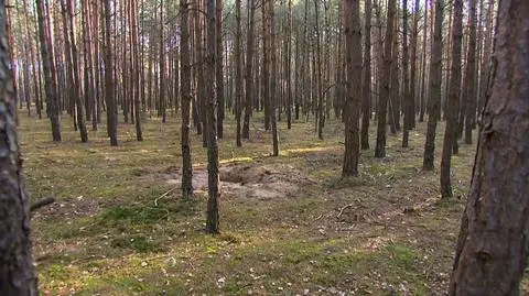 Ciało 16-latki zakopane w lesie, na szyi był zaciśnięty pasek. Tymczasowy areszt dla podejrzanego