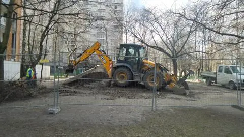 Wycinka w Parku Mirowskim. "Mamy zgodę na pięć drzew"