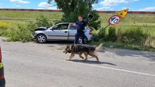 Na miejscu wypadku pracują policjanci z psem tropiącym