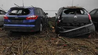 Topola przygniotła auta na parkingu 